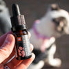 SWISSFX The Dog CBD Olie met 6% CBD &amp; Zalmolie